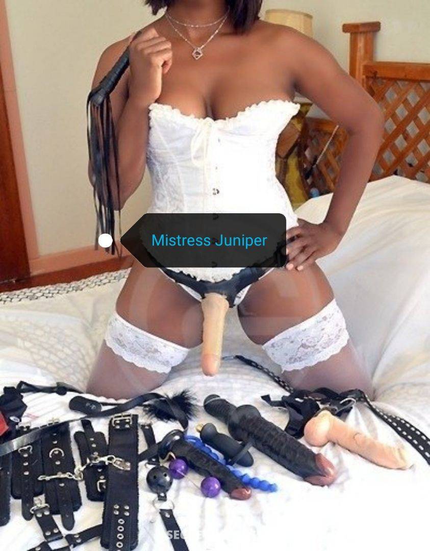 36Yrs Old Escort 163CM Tall Pretoria Image - 6