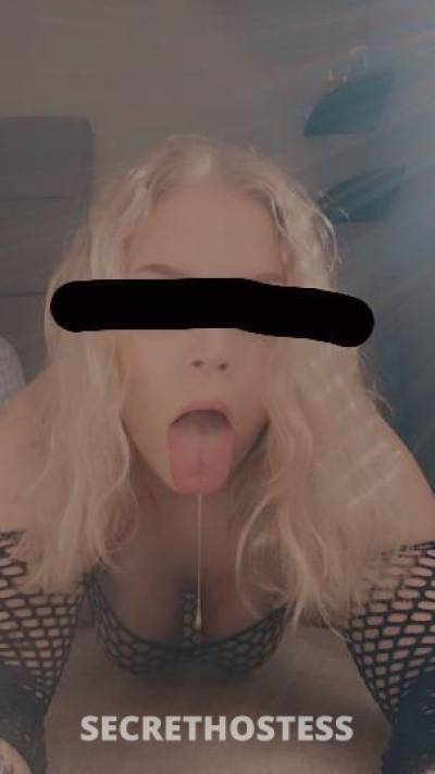 23Yrs Old Escort Tampa FL Image - 1