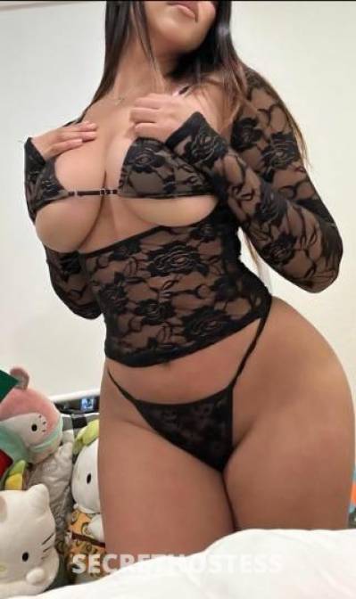 23 Year Old Latino Escort San Jose CA - Image 2