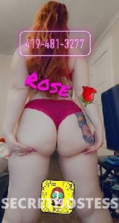 28Yrs Old Escort Tampa FL Image - 2