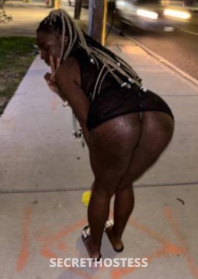 ALYJAH 24Yrs Old Escort New Orleans LA Image - 2