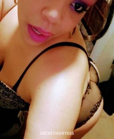 Alycia 28Yrs Old Escort Denver CO Image - 4