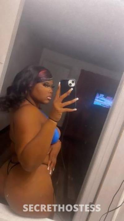 Ashley 23Yrs Old Escort Dallas TX Image - 3