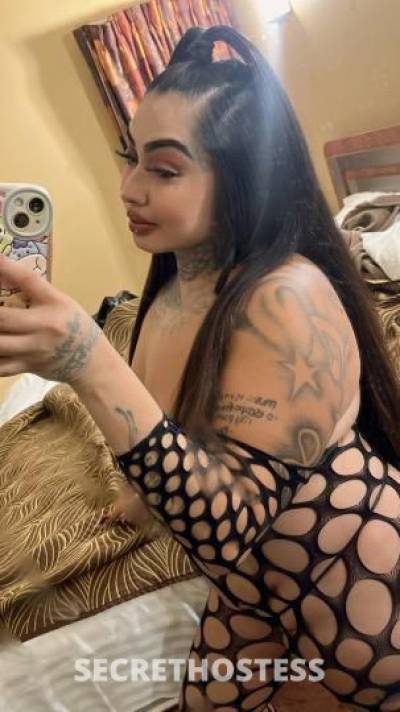 24 year old Escort in Tucson AZ ✨Outcall Special ✨. Only A Few Days Left To Book