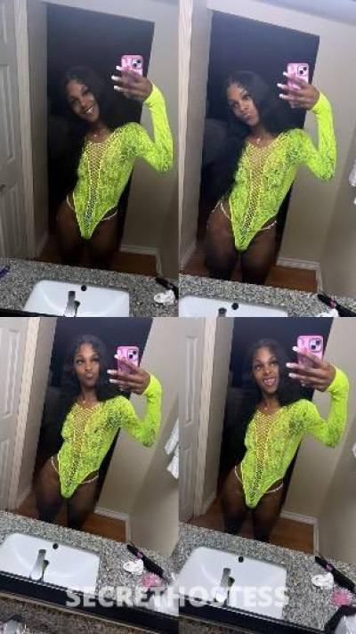 Bambii 22Yrs Old Escort Dallas TX Image - 4