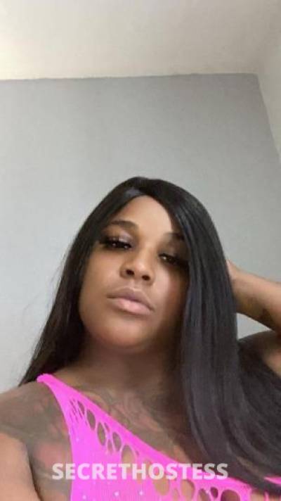 Bayleigh 24Yrs Old Escort Chesapeake VA Image - 5