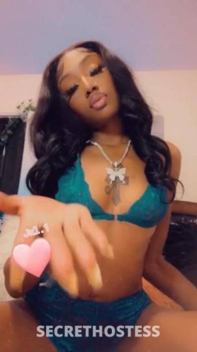 Bleu 19Yrs Old Escort Lafayette LA Image - 2