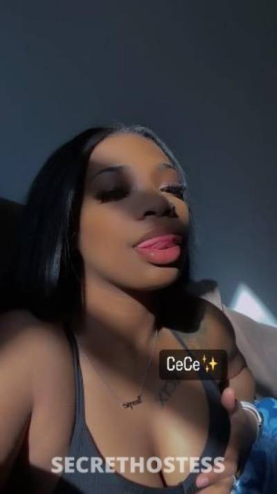 CeCe 24Yrs Old Escort Central Jersey NJ Image - 2