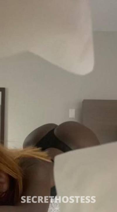 ChanelDiamond? 23Yrs Old Escort Knoxville TN Image - 10