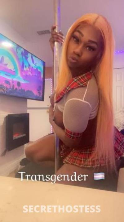 Cubandgoddess 24Yrs Old Escort Philadelphia PA Image - 7