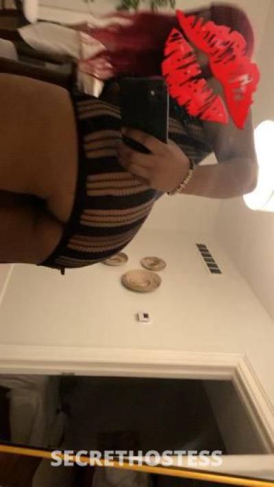 Daisy 22Yrs Old Escort Toledo OH Image - 1