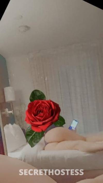 DriaDiamond 26Yrs Old Escort Lowell MA Image - 0