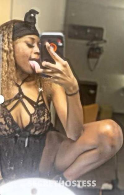 Keke 21Yrs Old Escort Dallas TX Image - 1