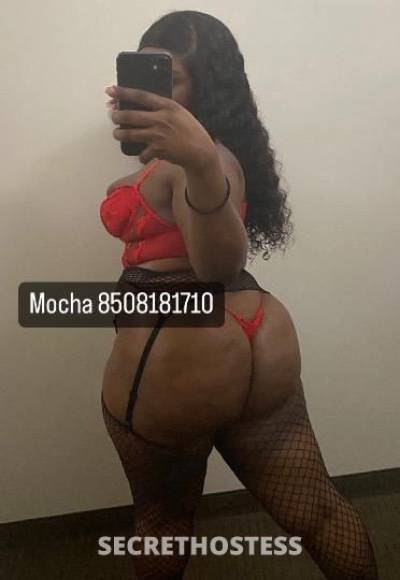 Mocha 24Yrs Old Escort Panama City FL Image - 2