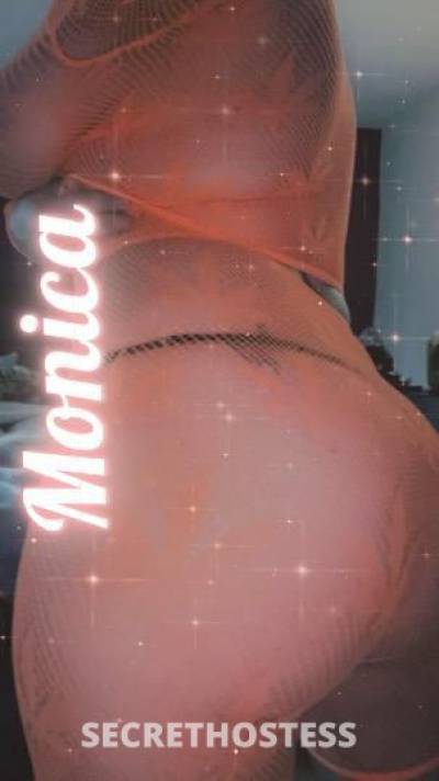 Monica 27Yrs Old Escort New Haven CT Image - 1