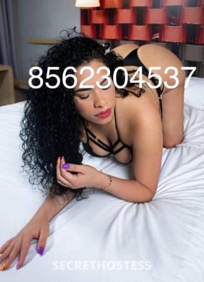 Pamela 26Yrs Old Escort Washington DC Image - 0