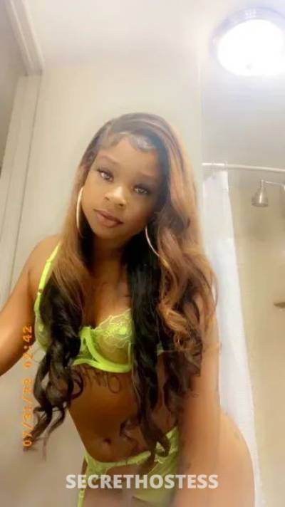 Princess rose 28Yrs Old Escort El Paso TX Image - 4