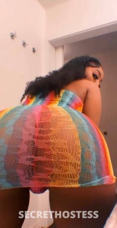 23 year old Escort in Palm Springs CA ✨Sexy Stripper..CUM SEE ME .INCALLS . .OUTCALLS . .CARFUN