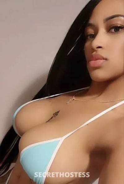 Rose 26Yrs Old Escort San Antonio TX Image - 0