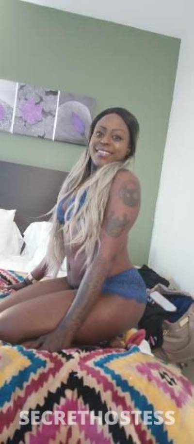 Saphyre 29Yrs Old Escort Dallas TX Image - 7