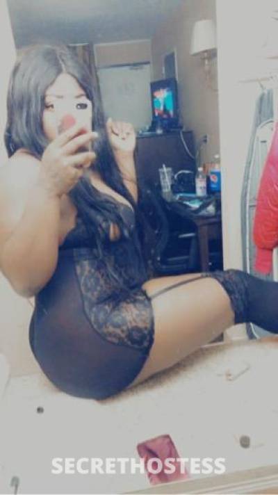 Shay 22Yrs Old Escort Milwaukee WI Image - 2