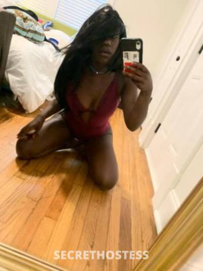 Siren 24Yrs Old Escort Nashville TN Image - 0