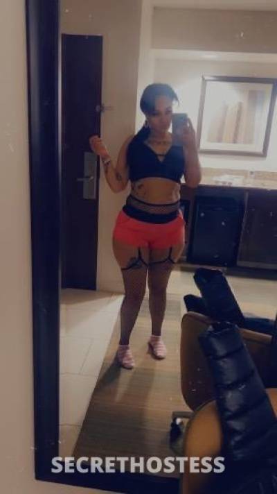 Treasure 30Yrs Old Escort Albany NY Image - 5