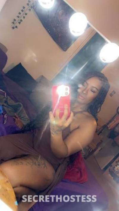 Venus/vee 22Yrs Old Escort Youngstown OH Image - 7