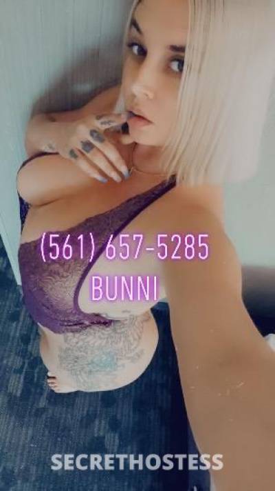 bunni 28Yrs Old Escort Toledo OH Image - 3