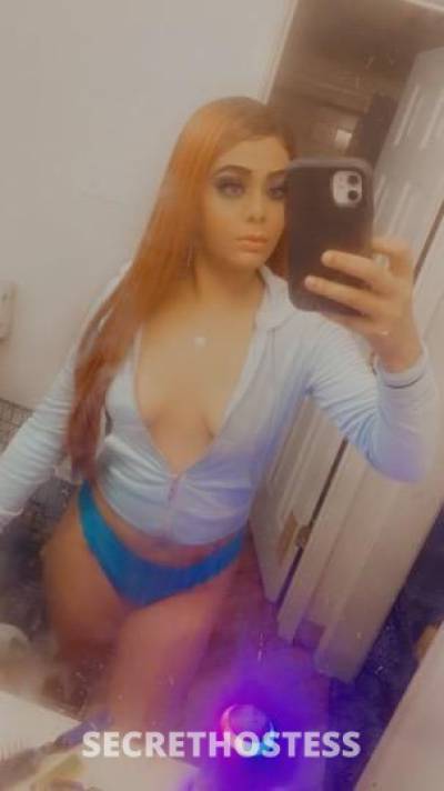 calico 26Yrs Old Escort Houston TX Image - 2