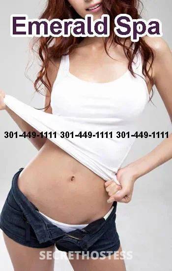 Angelina 25Yrs Old Escort Washington D.C. DC Image - 3