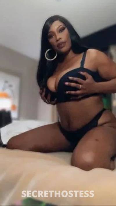  Kayla 25Yrs Old Escort Northern Virginia DC Image - 3