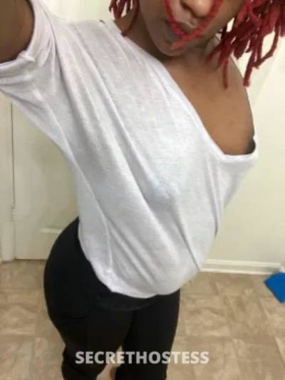  MJ 25Yrs Old Escort Northern Virginia DC Image - 4