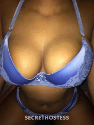  lily 28Yrs Old Escort Northern Virginia DC Image - 3