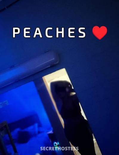 37 year old Australian Escort in Box Hill Melbourne Best box in box hill juicy peachy sweet pea