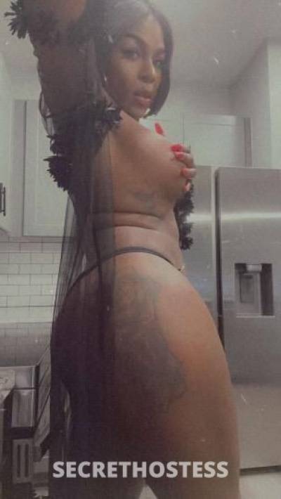 Alanaxl 23Yrs Old Escort Nashville TN Image - 2