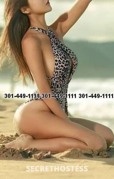 Angelina 25Yrs Old Escort Washington D.C. DC Image - 2