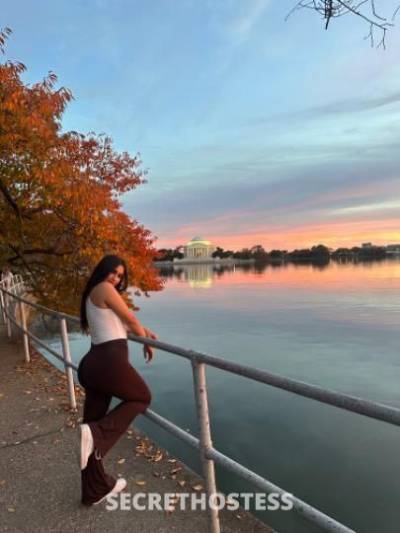 Brenda 21Yrs Old Escort Baltimore MD Image - 4