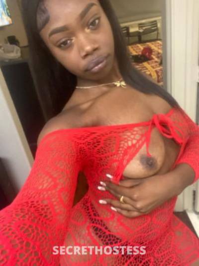 Bunny 25Yrs Old Escort Alexandria LA Image - 8