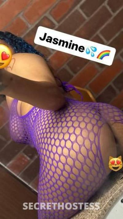 Jasmine 20Yrs Old Escort Madison WI Image - 2