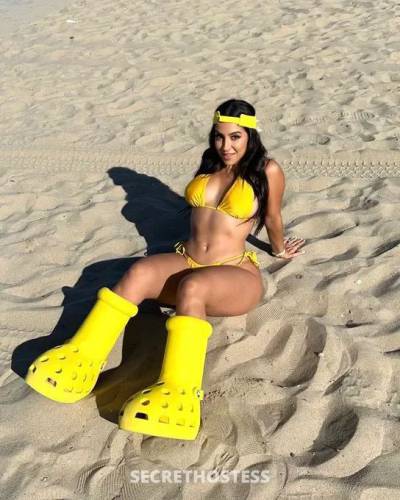 Laura Rose 25Yrs Old Escort 167CM Tall Tampa FL Image - 7