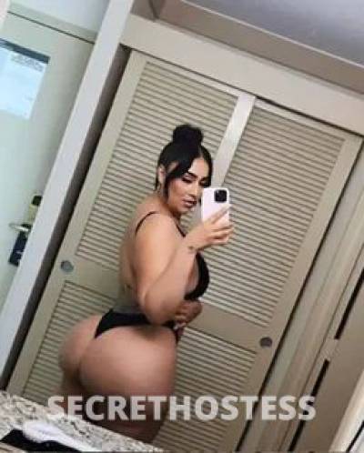 26 Year Old Escort Miami FL Brunette - Image 4