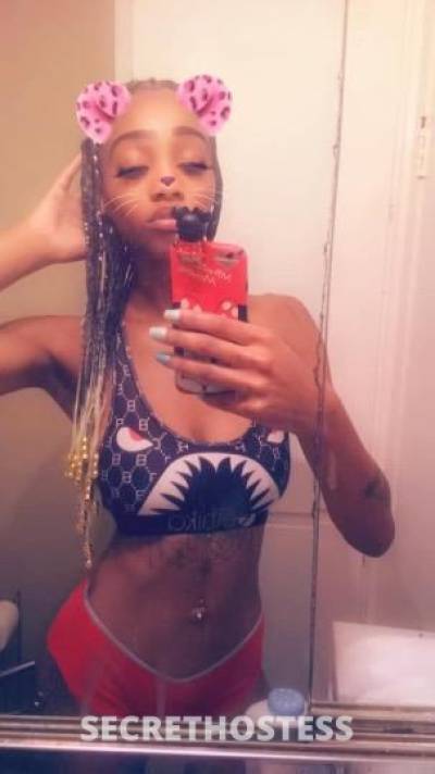 McKenzie 24Yrs Old Escort Memphis TN Image - 7