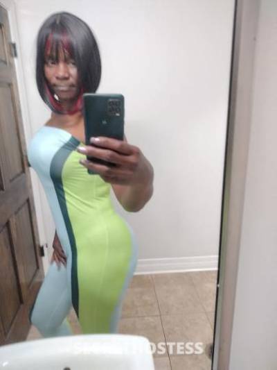 MsTrinidad/BCoffee 38Yrs Old Escort New Orleans LA Image - 6