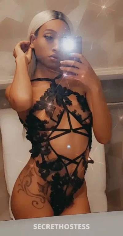 Nicole &nbsp;? 23Yrs Old Escort Washington D.C. DC Image - 8
