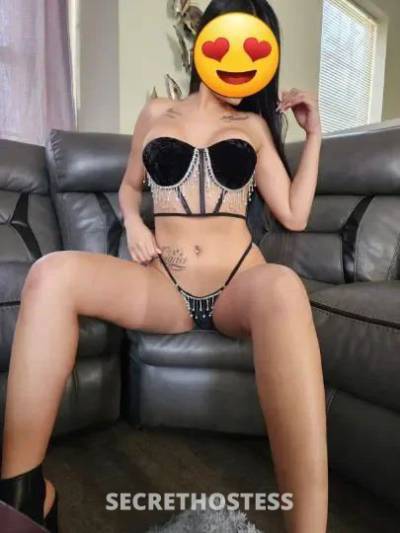 Rose 23Yrs Old Escort Northern Virginia DC Image - 8