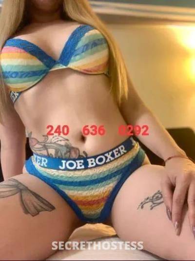 Rose 27Yrs Old Escort Northern Virginia DC Image - 1