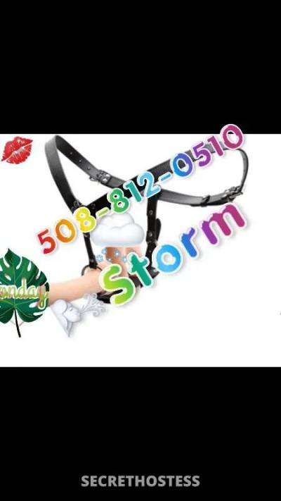 STORM  🌟 22Yrs Old Escort Bedford MA Image - 1