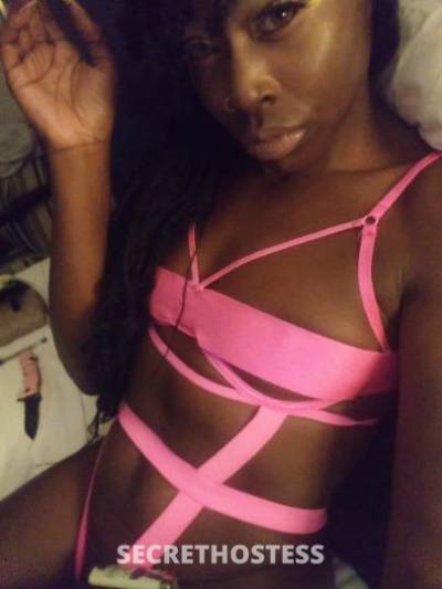 Tink)Onxy 28Yrs Old Escort 175CM Tall Orlando FL Image - 1