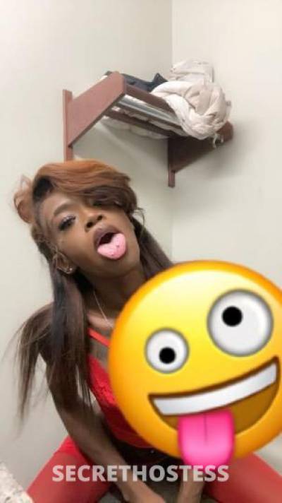 24 year old Escort in Memphis TN Outcalls CocooDiorr Verification Available